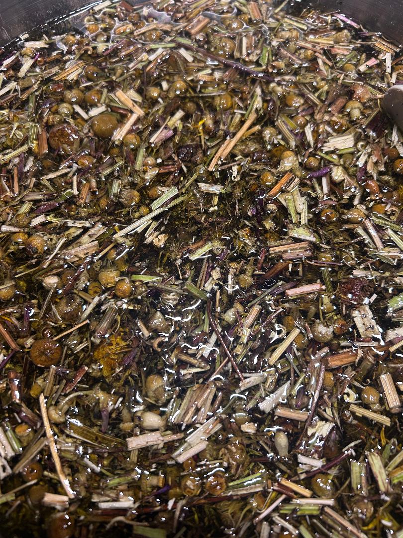 Herbal Salve