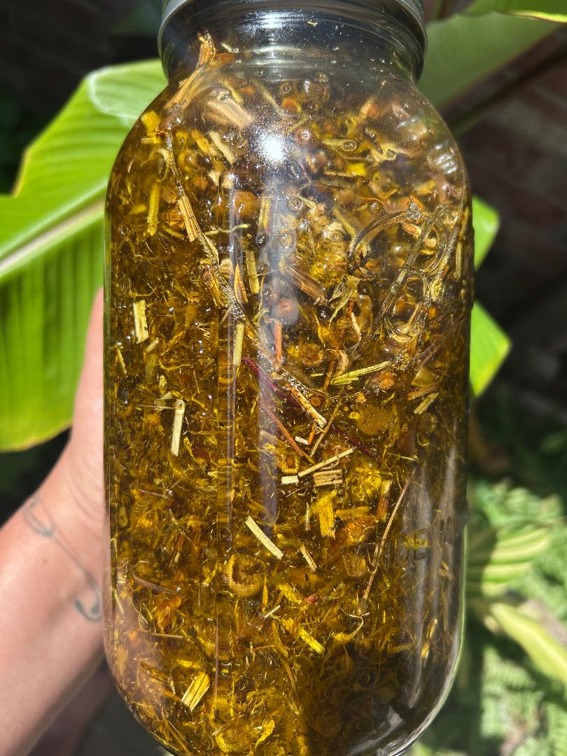Herbal Salve