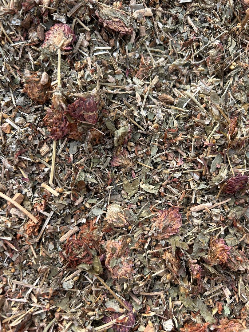 Divine Balance Women’s Wellness Tea