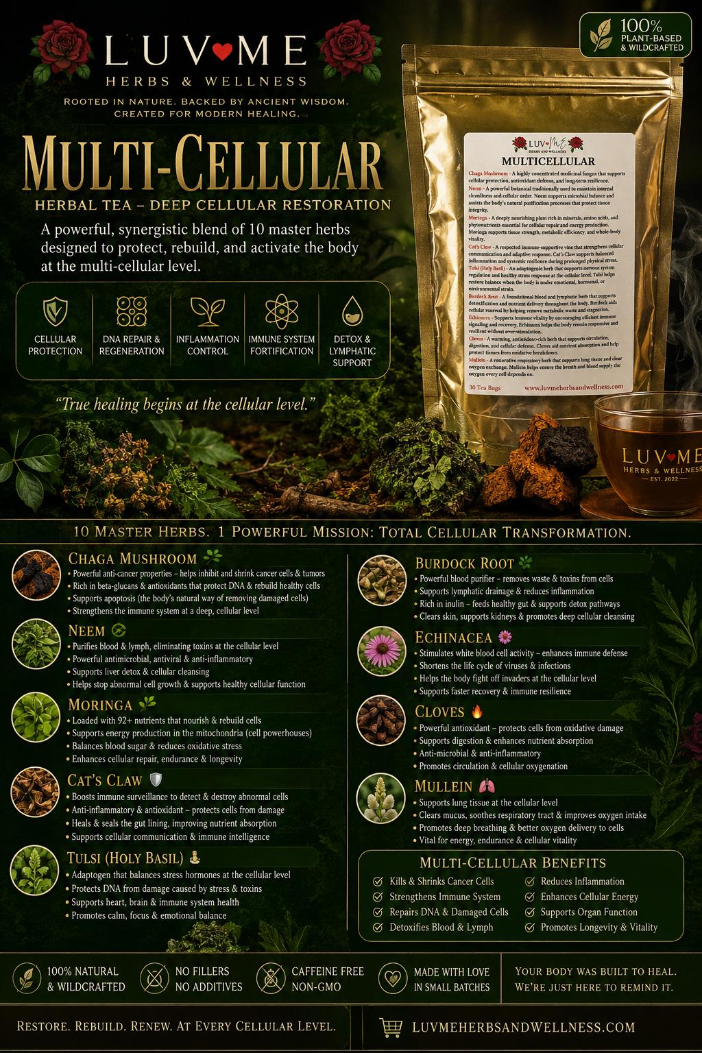 Multi-Cellular Tea 🍄🌿
