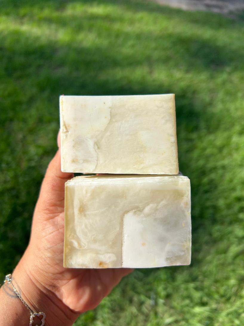 Aztec Clay & Colloidal Oats Soap