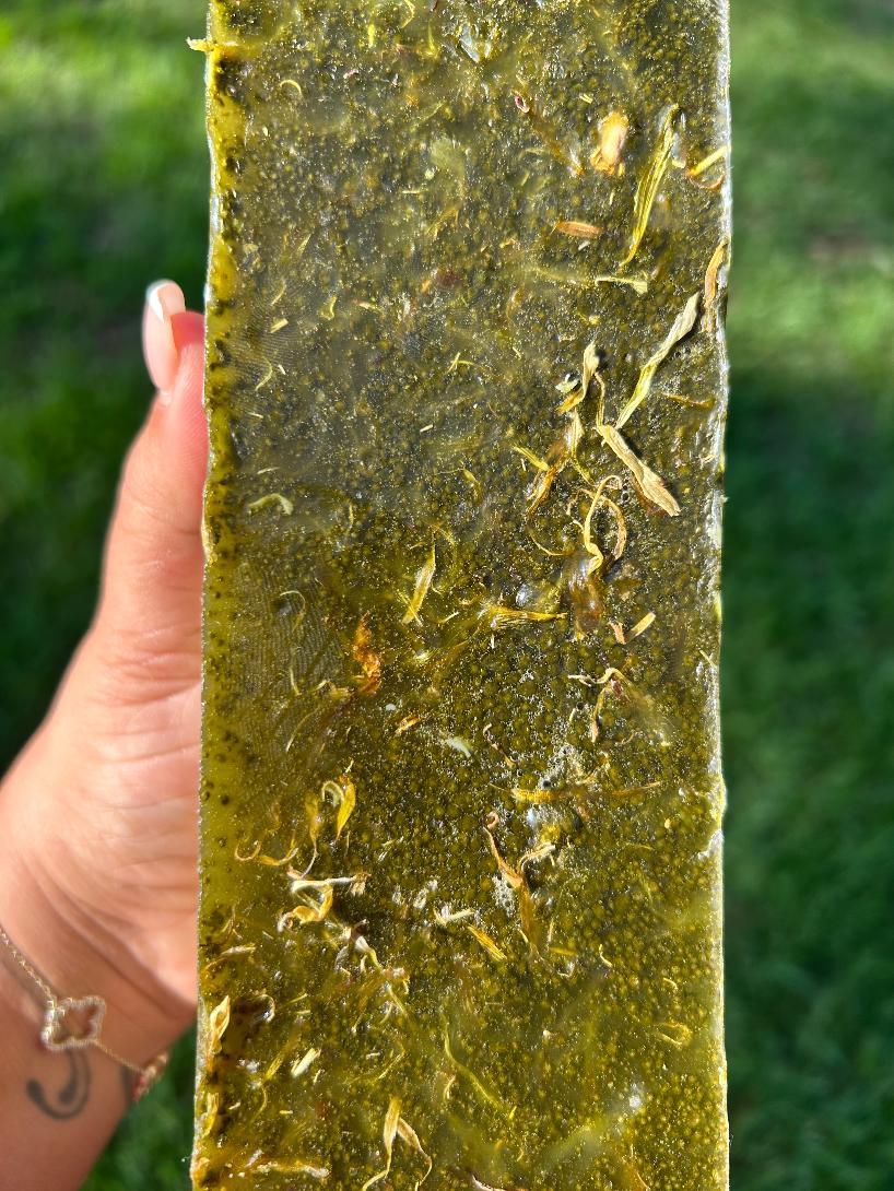Neem, Calendula & Patchouli Herbal Soap