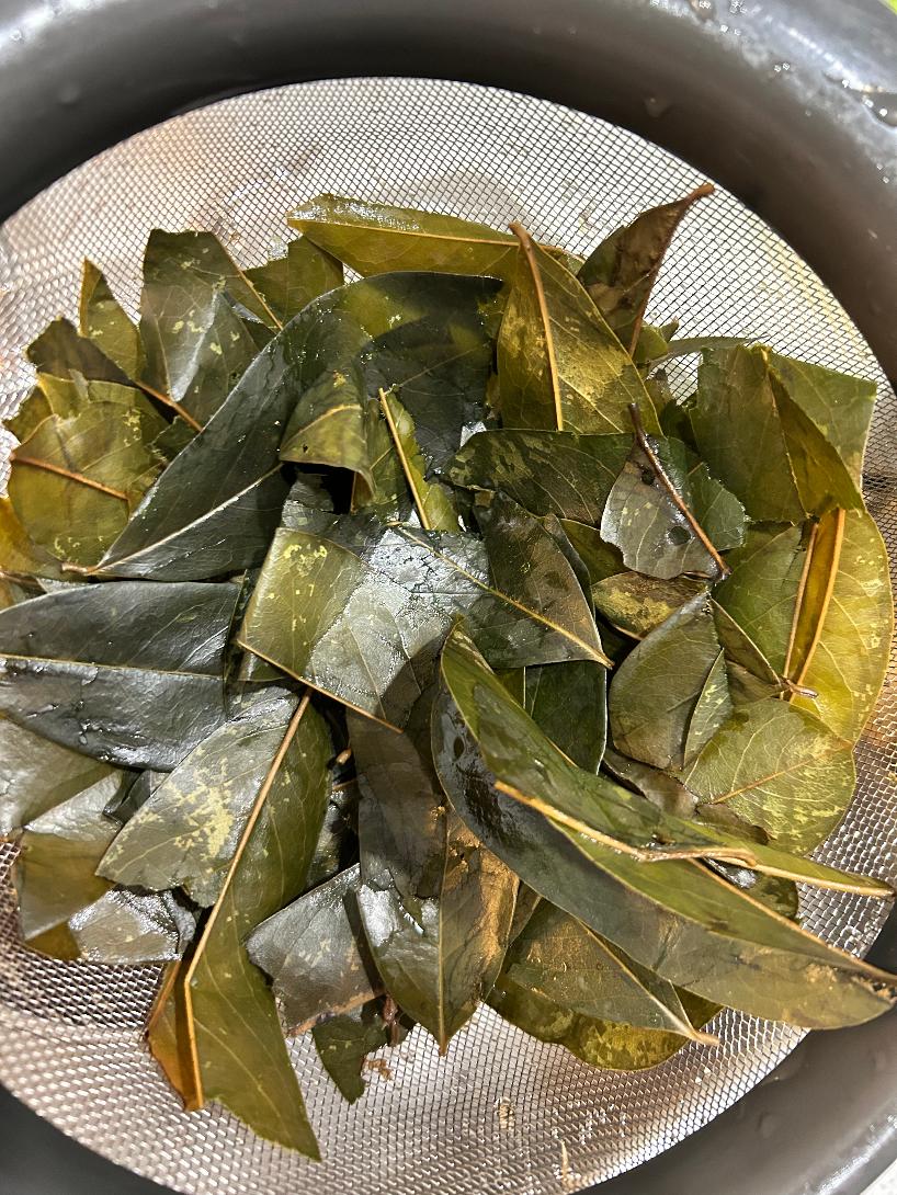 Soursop Leaves