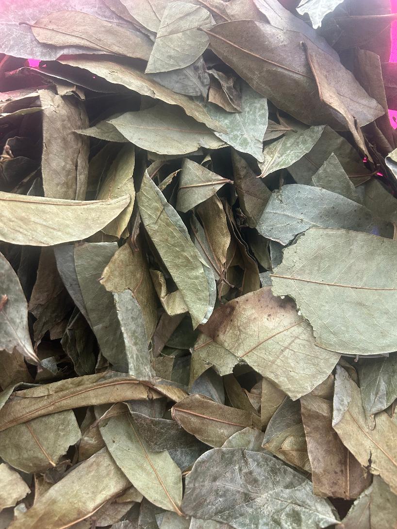 Soursop Leaves