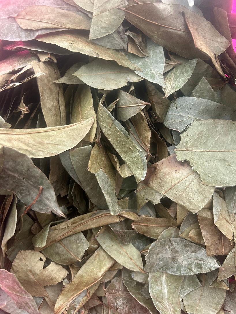 Soursop Leaves